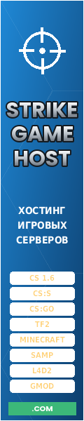 Хостинг игровых серверов - баннер 120x600